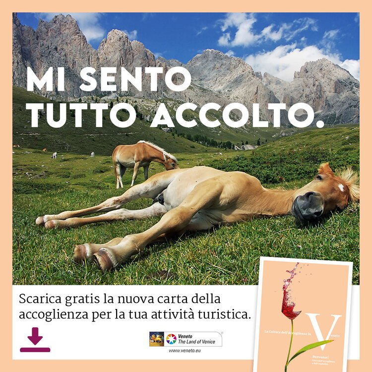 Accoglienza Immagine 4